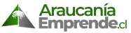 Araucania Emprende · Chile 